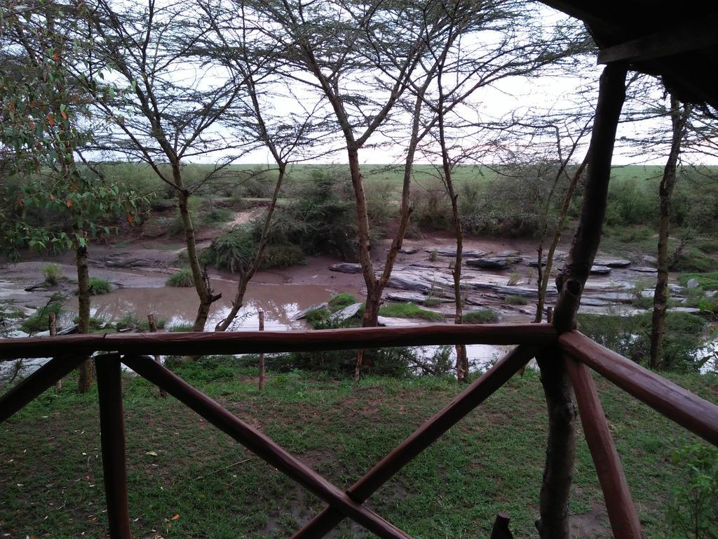Crocodile Camp-Masai Mara Hotel Talek Exterior photo