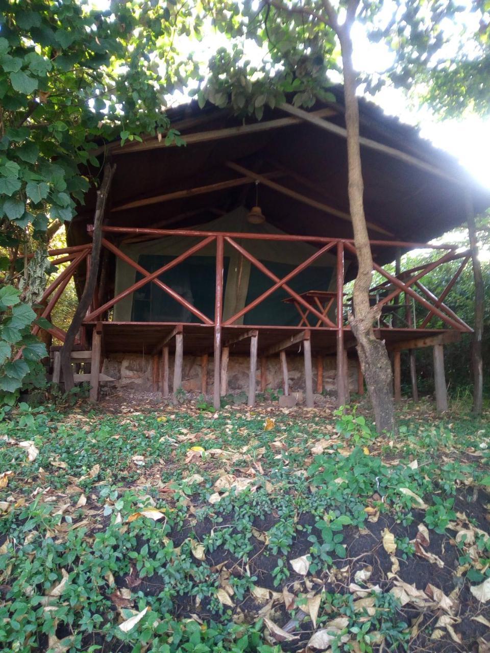 Crocodile Camp-Masai Mara Hotel Talek Exterior photo